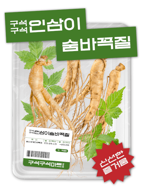 구석구석 인삼이 숨바꼭질 thumbnail image